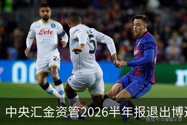 中央汇金资管2026半年报退出博迁新材前十大股东名单