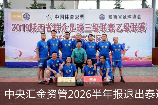 中央汇金资管2026半年报退出泰达股份前十大股东名单