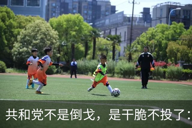 共和党不是倒戈，是干脆不投了：2026中期选举的暗流比民调吓人