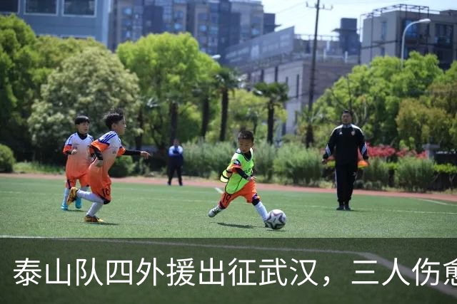 泰山队四外援出征武汉，三人伤愈复出随队，中场主力停赛缺席
