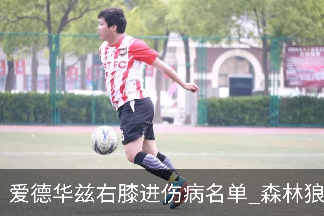 爱德华兹右膝进伤病名单 森林狼战骑士存变数