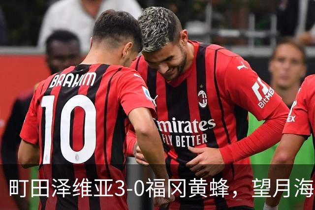 町田泽维亚3-0福冈黄蜂，望月海辉传射，延吉、前宽之破门