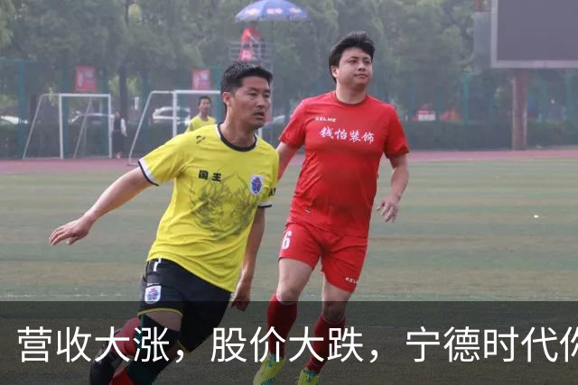 营收大涨，股价大跌，宁德时代你到底咋了？