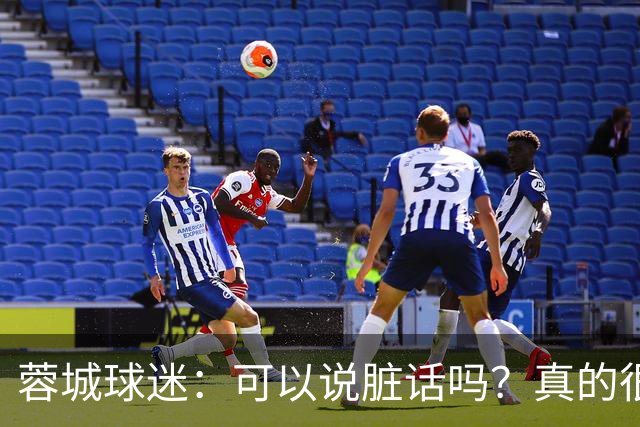 蓉城球迷：可以说脏话吗？真的很丢脸，主教练必须下课