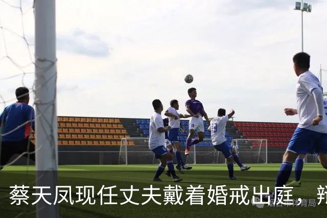 蔡天凤现任丈夫戴着婚戒出庭，辩方律师当场追问：你和亡妻的前夫是不是恋人关系