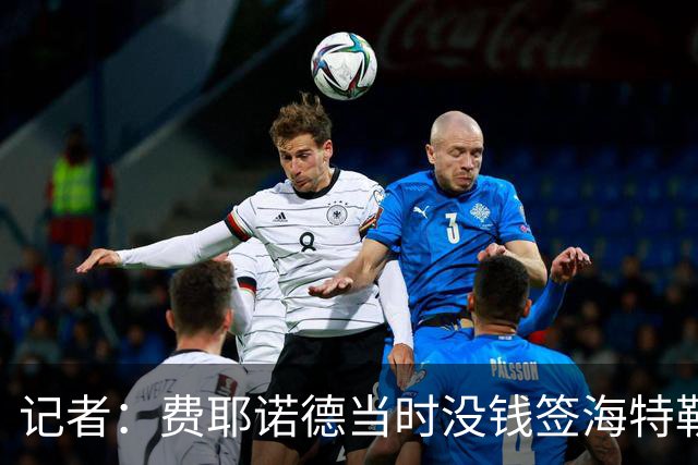记者：费耶诺德当时没钱签海特勒伊达