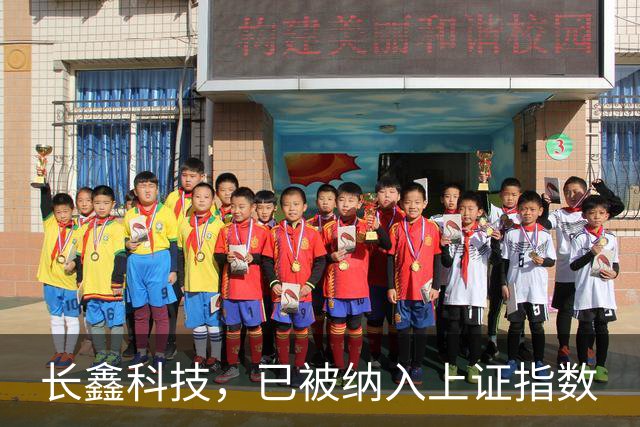 长鑫科技，已被纳入上证指数