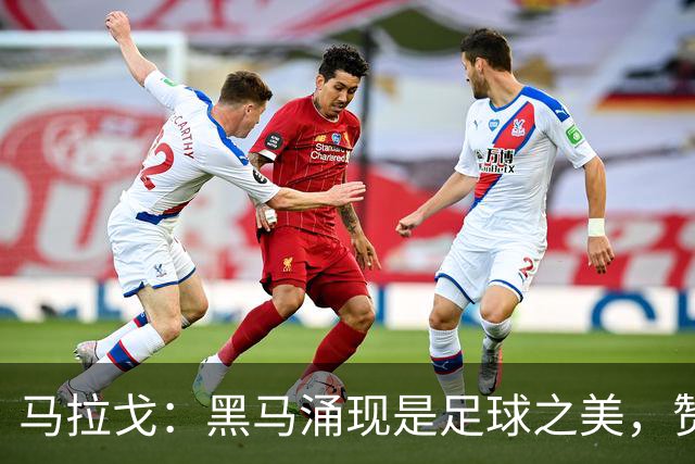 马拉戈：黑马涌现是足球之美，赞拉齐奥领跑