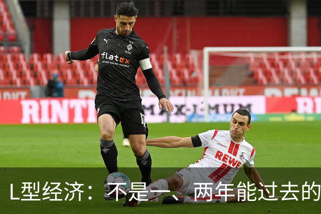 L型经济：不是一、两年能过去的